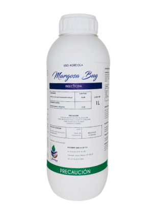 Margosa Bug