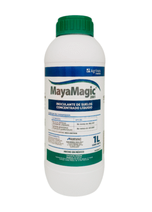 MayaMagic 2001