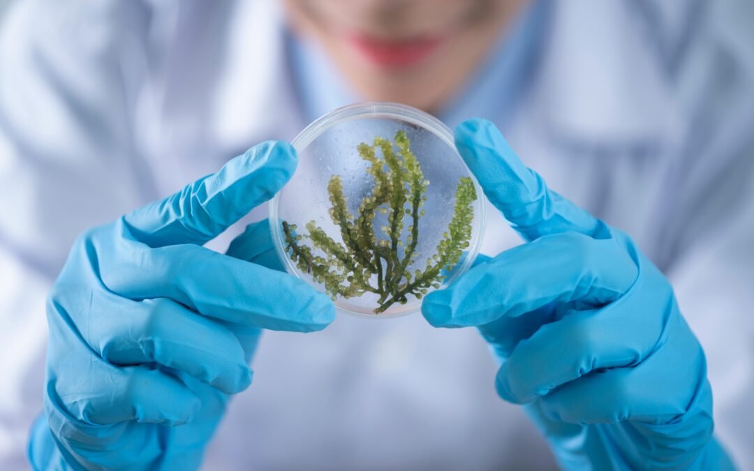 ¿Qué es el manejo microbiológico del suelo?