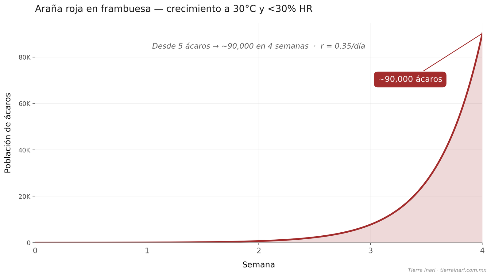 Crecimiento exponencial de araña roja en frambuesa: de 5 a 90,000 ácaros en 4 semanas a 30°C y HR bajo 30%